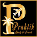 praktik-logo